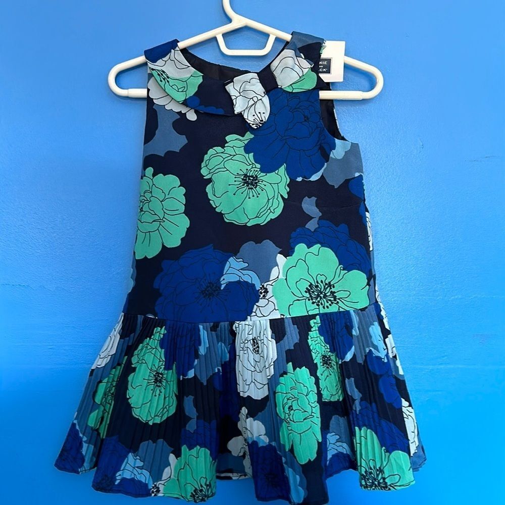 Janie & Jack Girls Dress 2T Big Floral Print Accordion Pleats Party Outfit